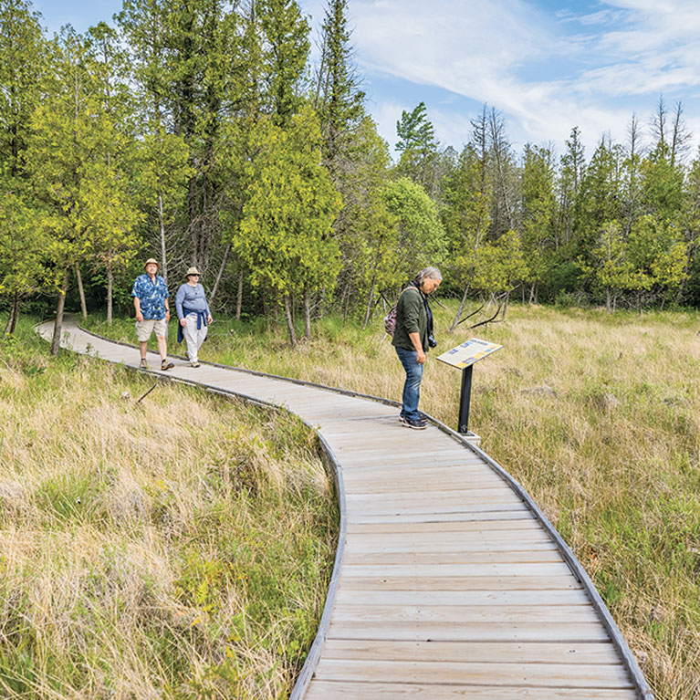 Follow the boardwalk trail through multiple habitats